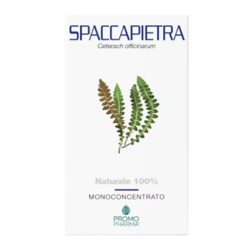 Spaccapietra Promopharma