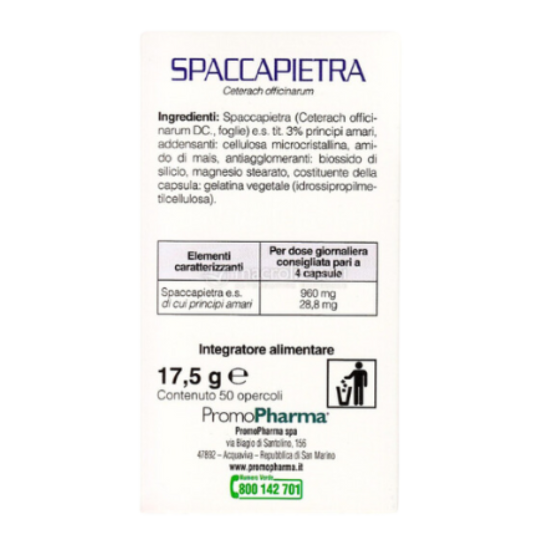 Spaccapietra Promopharma