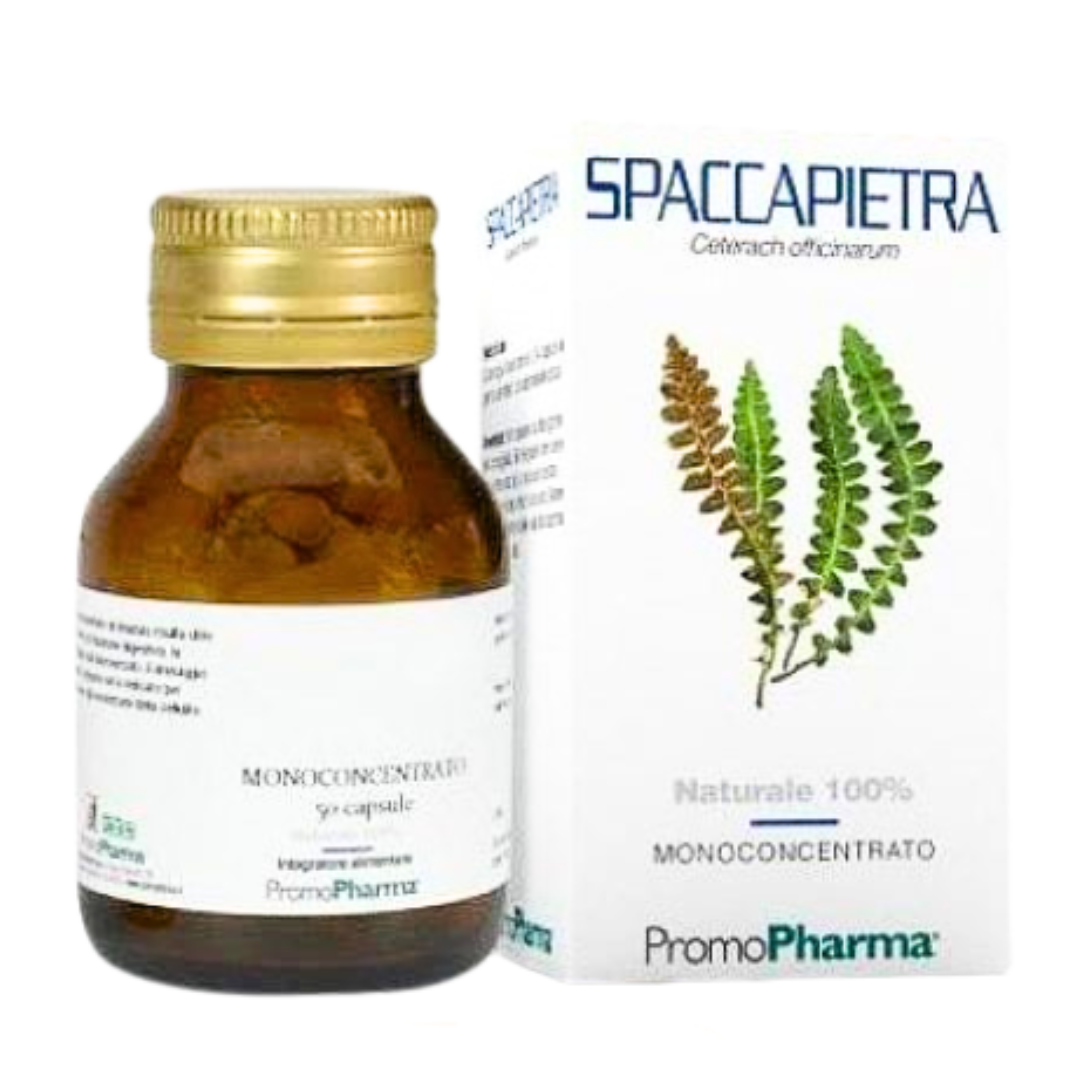 Spaccapietra Promopharma