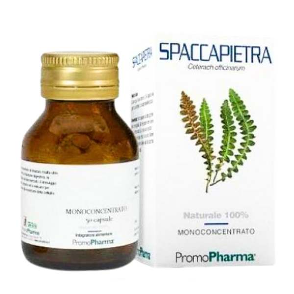 Spaccapietra Promopharma